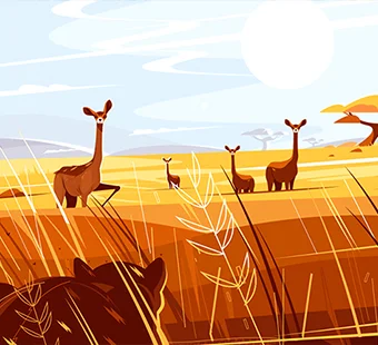 Webnox Designs - Porfolios 1