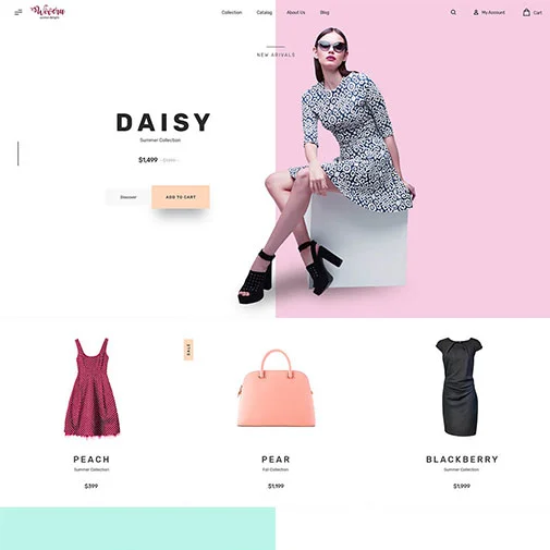 Webnox Designs - Porfolios 1